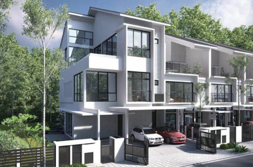 Aster Grove 2