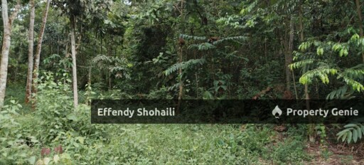 SEMENYIH SUNGAI PENING TANAH PERTANIAN