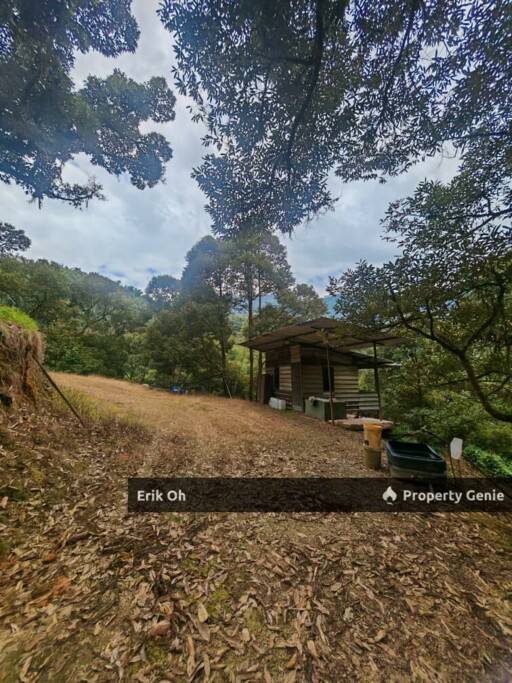 Gur Puri Bentong Pahang Durian Farm for Sale