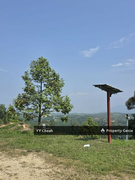 Sg Siput Perak 10 Acres Agri Land For Sale Durian & Orchard 10 Acres Freehold