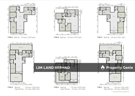 The Light Linear