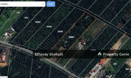 PORT DICKSON CHUAH OIL PALM ORCHARD