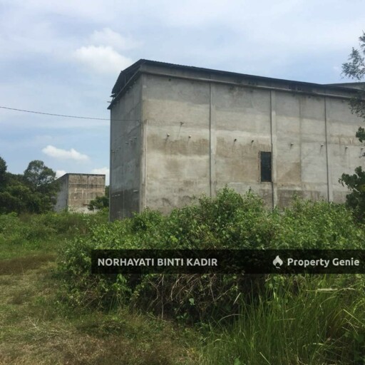 SEBIDANG TANAH KELUASAN 1 EKAR BESERTA SARANG BURUNG WALIT DI KG DURIAN SEBATANG MUKIM LANGGAR PEKAN PAHANG