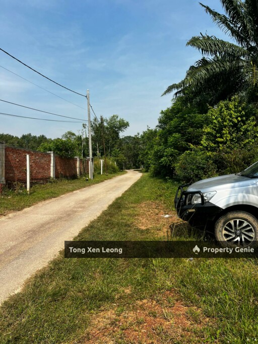 Freehold Agricultural Land @ Lendu for Sale !!