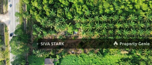 Agriculture Land At Jalan Batu Pahat , Kluang Facing Main Road