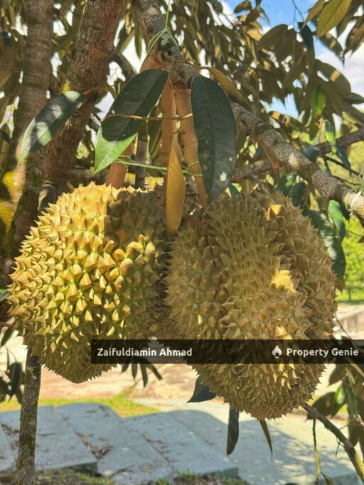 TANAH DUSUN HULU LANGAT - Spacious Land With Nearby Education Facilities