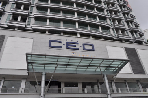 The CEO