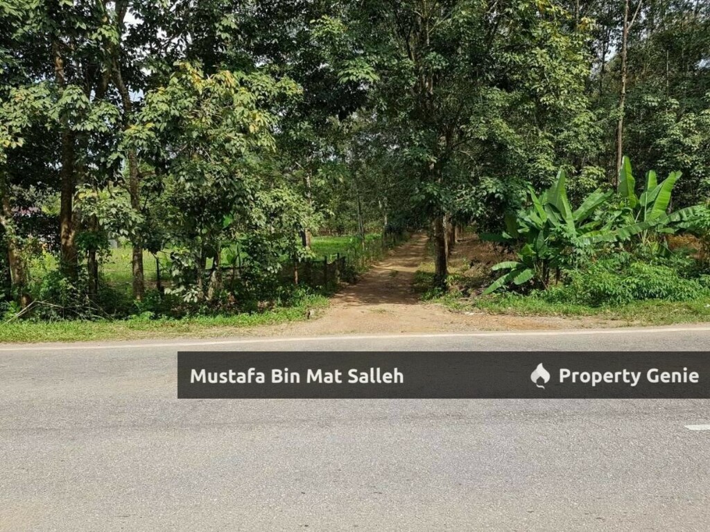 Tanah Pertanian Bukit Selambau Mukim Teloi Kiri Kampung Kuala Sin Kuala Ketil Kedah