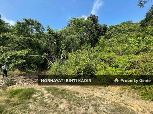 (HOT AREA) TANAH KEBUN DI BUKIT KUIN 2, KUANTAN