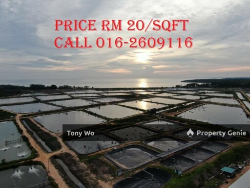 The Large Fish Pond For Sale in Johor