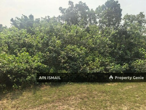 [LOKASI HOT] TANAH TEPI PANTAI BAGING SUNGAI ULAR, KUANTAN