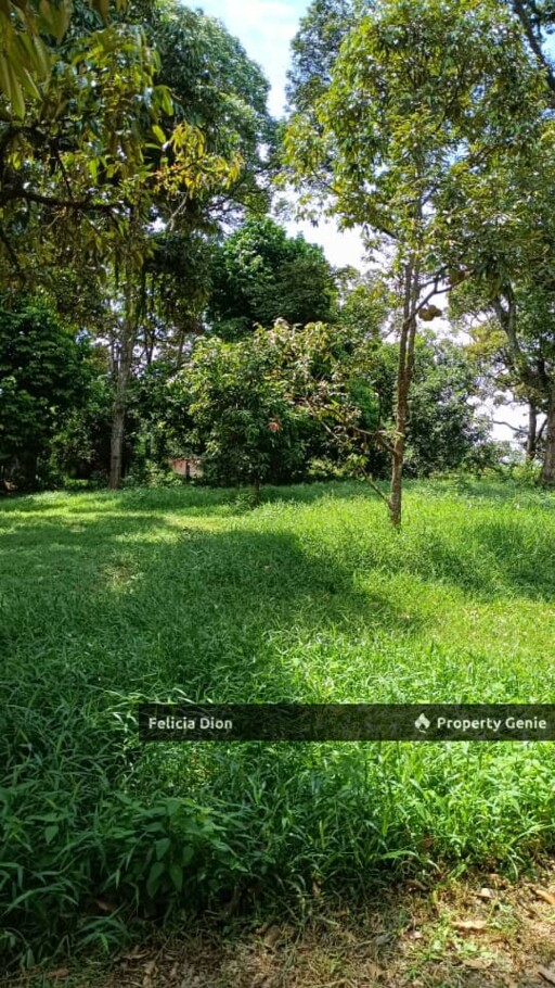 FREEHOLD AYER MOLEK AGRICULTURE LAND FOR SALE 🔥TOTAL 2++ ACRES