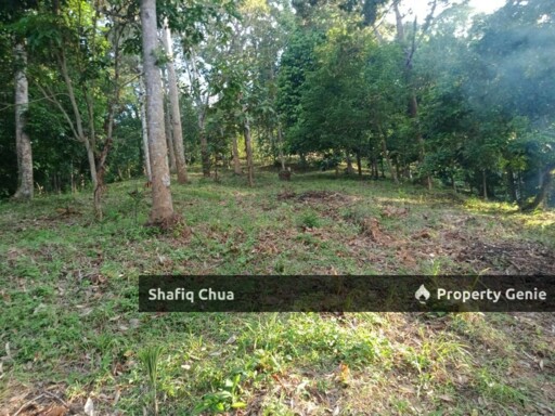 Beautiful Orchard Land for Sale in Ulu Melaka, Langkawi