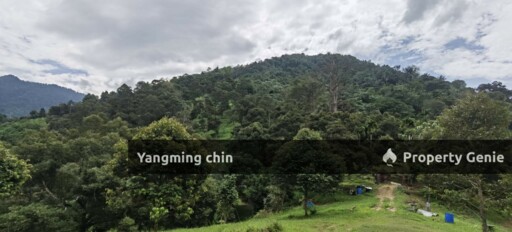 Chenderiang, Tapah Land For Sale