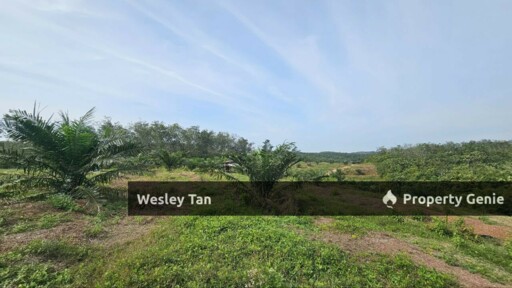 Durian Tunggal Below Value Oil Palm Approx 6.5acres land Freehold Road