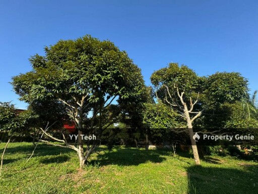Residential Land with Ready Built British Style Bungalow @ Ayer Molek