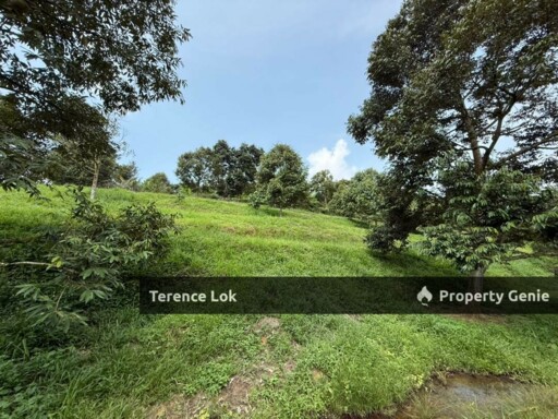 Hosapa, Titi Jelebu Mainroad Land