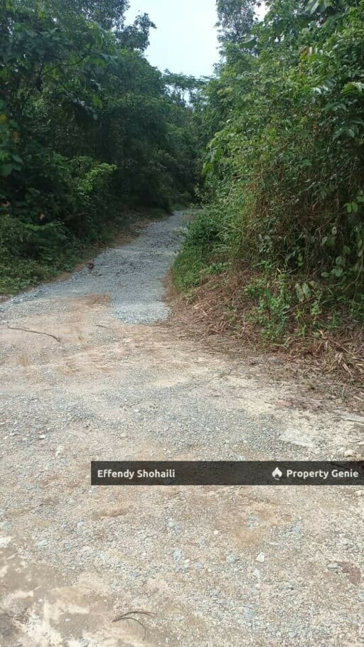 SEMENYIH SUNGAI PENING TANAH PERTANIAN