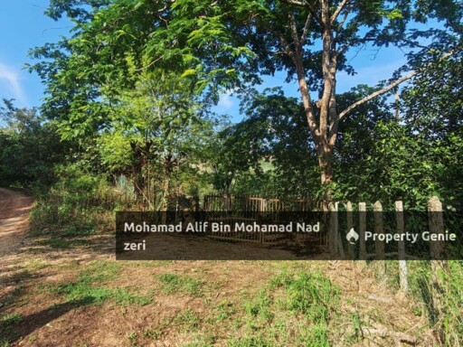 Dusun Buah-buahan untuk Di jual | Geran Individu | Below MV
