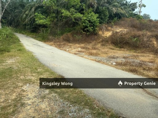 Jalong Tinggi Sg Siput Easy Entry with Asphalt Road 4 Acres Durian Orchard Farm