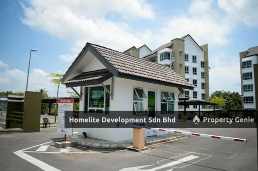 Homelite Eco Park