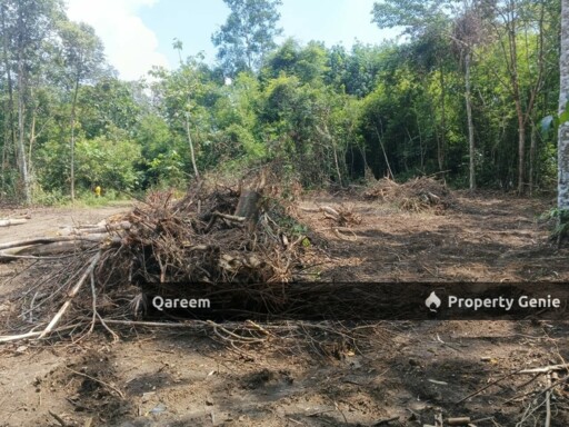 [FEEEHOLD] 3 Ekar Pekan Rasa, Sebelah Sungai. Batang Kali