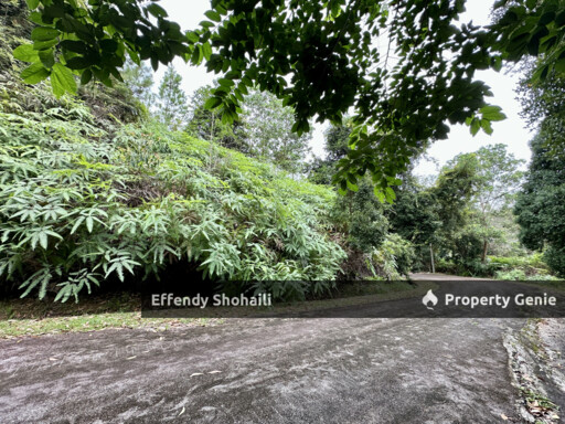 BUKIT TINGGI BERJAYA HILLS RESORT BUNGALOW LOT