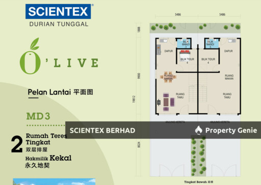Olive, Scientex Durian Tunggal