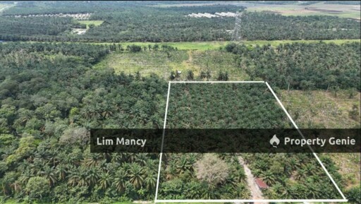Gelang Patah / Pekan Nanas / Iskandar Puteri Agriculture Land