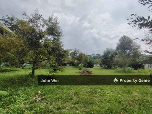 🔥Agriculture Durian Farm For Sale🔥