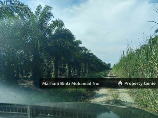 Kebun Sawit • Tanah Pertanian 2 Ekar • Sabak Bernam