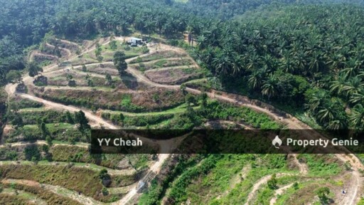Sg Siput Perak 10 Acres Agri Land For Sale Durian & Orchard 10 Acres Freehold