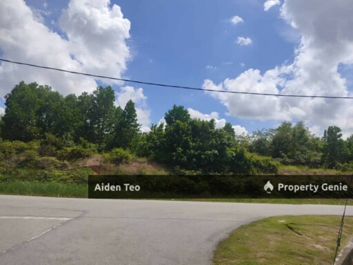 Tanjung Minyak For Sale