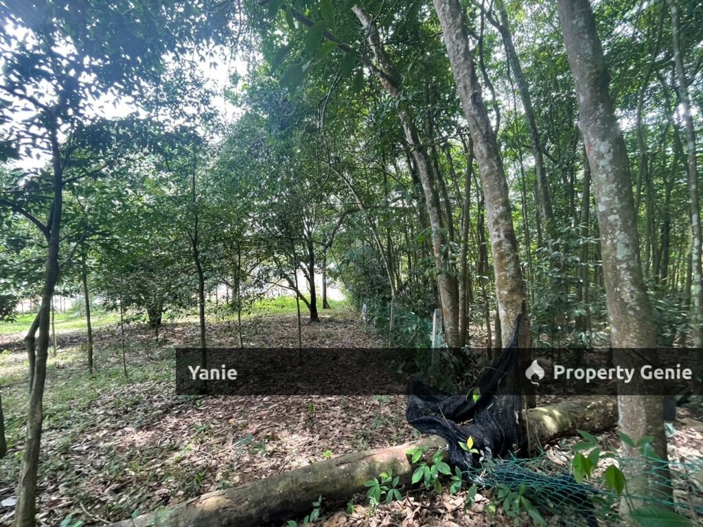 Tanah Pertanian di Kuang Selangor cuma RM17 sqf nego