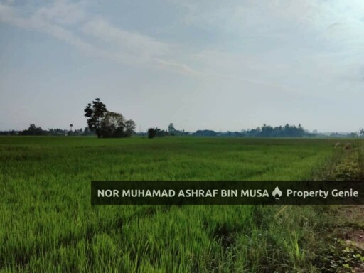 Tanah Sawah Alor Dahnan Kurong Batang Kangar Perlis