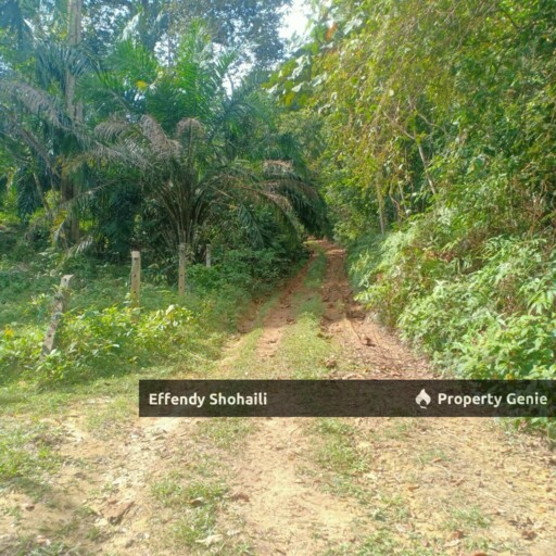 SUNGAI PEDANG HULU YAM AGRICULTURAL LAND