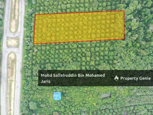 [FREEHOLD] TANAH PERTANIAN 2.5 EKAR TEPI JALAN UTAMA BYPASS KUANTAN-PEKAN
