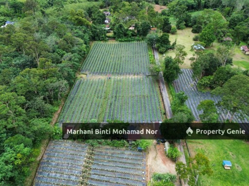 Tanah Sungai Lui @ Hulu Langat