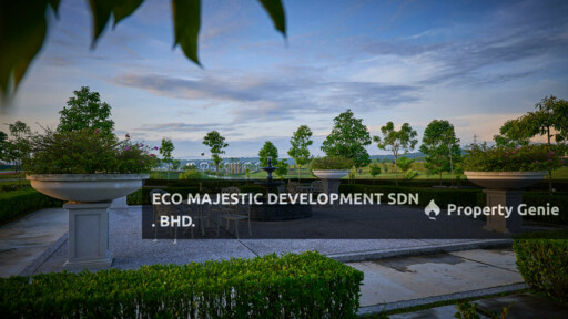 Eco Forest