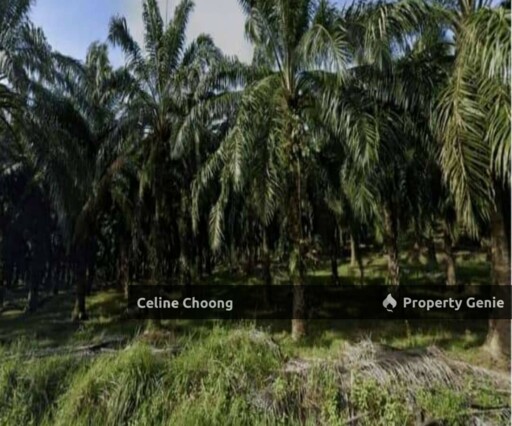 Mukim Sungai Petani, Kedah P005