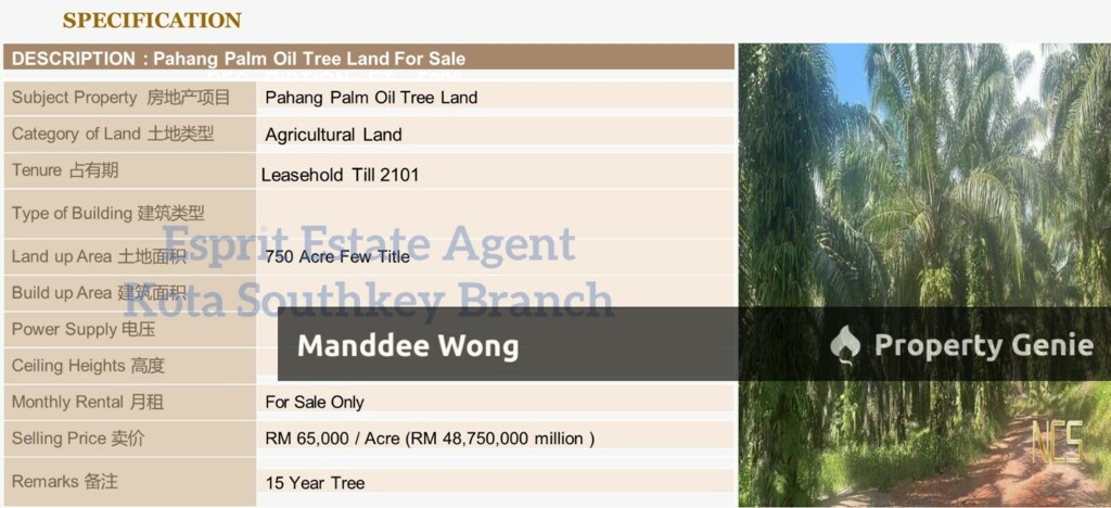 WTS/Pahang/Palm Oil Plantation Land/750 Acres/48.75 Million