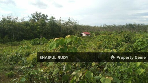 TANAH PERTANIAN untuk Dijual di Kampung Bukit Tingkat, Mukim Sanggang, Temerloh, Pahang