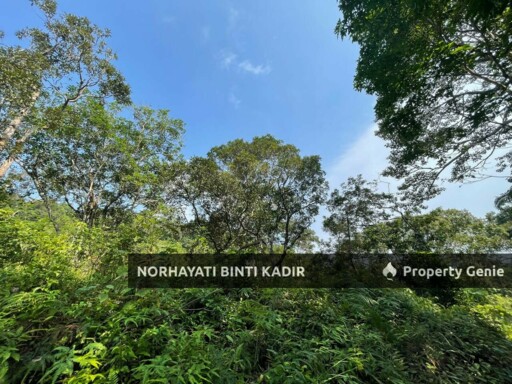 (HOT AREA) TANAH KEBUN DI BUKIT KUIN 2, KUANTAN