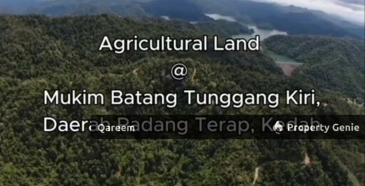 22.5 Ekar Tanah Kosong Padang Terap Kedah