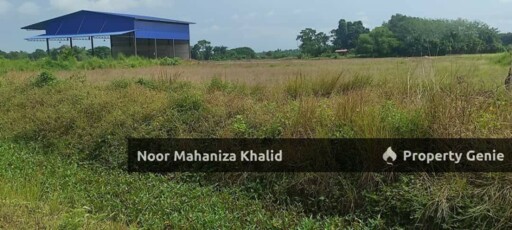 Tanah Pertanian Batu Tambun, Mukim Rambai Kedah