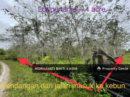 TANAH PERTANIAN KEBUN GETAH 7.5 EKAR DI PENOR