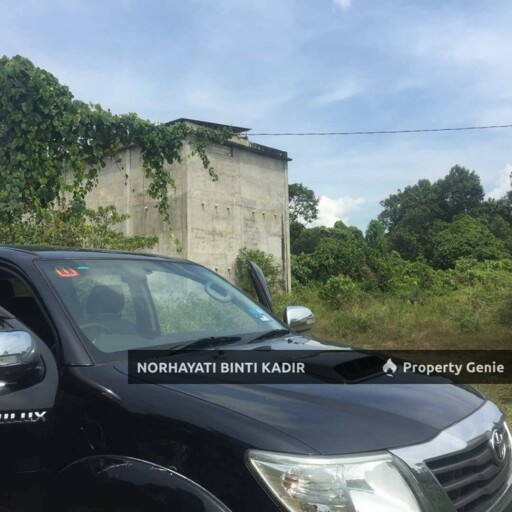 SEBIDANG TANAH KELUASAN 1 EKAR BESERTA SARANG BURUNG WALIT DI KG DURIAN SEBATANG MUKIM LANGGAR PEKAN PAHANG