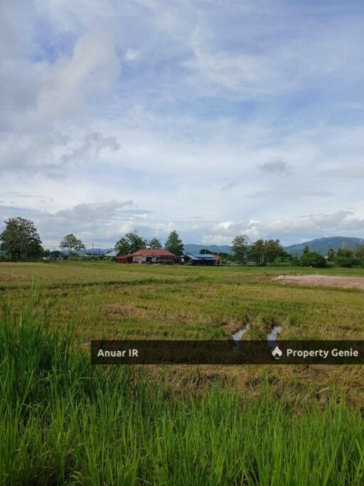 Tanah Tepi Jalan Utama, Kampung Darat Beseri
