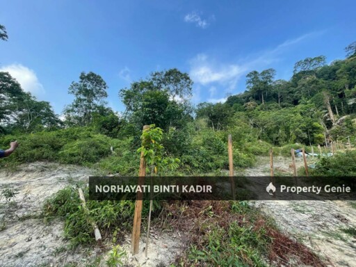 (HOT AREA) TANAH KEBUN DI BUKIT KUIN 2, KUANTAN