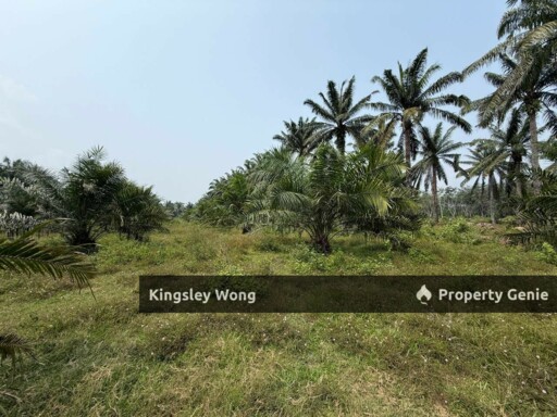 Sungai Siput 2 Acres Land Road Side Land Flat Land